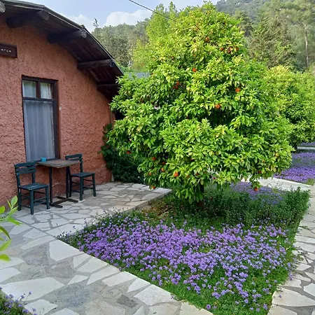 Simurg Evleri Olympos Pensionat 3*