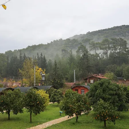 Pensionat Simurg Evleri Olympos Kumluca